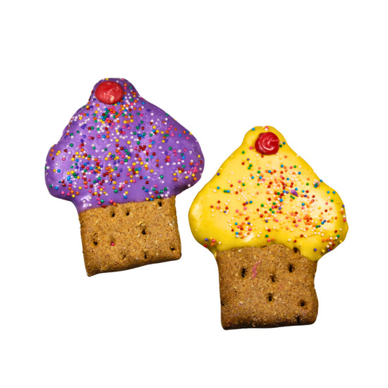 Cupcake with Sprinkles Set of 6