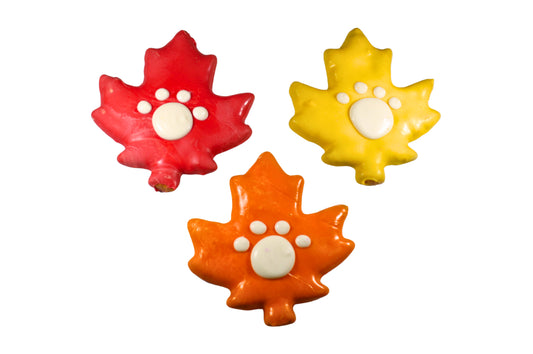 Fall Leaves Set of 6