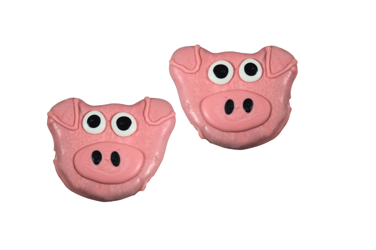 Piggy Face Set of 6