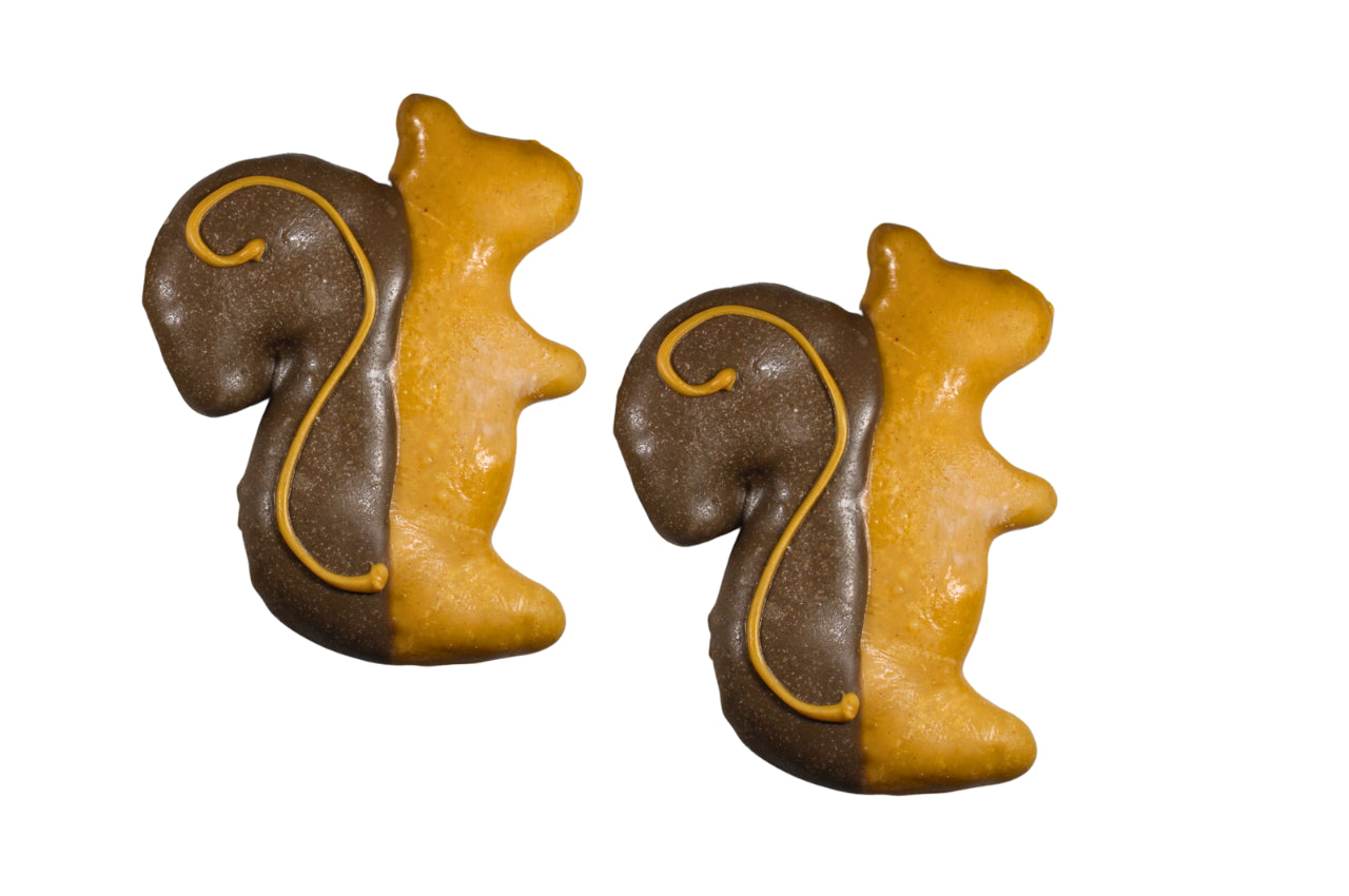 Squirrel Set of 6